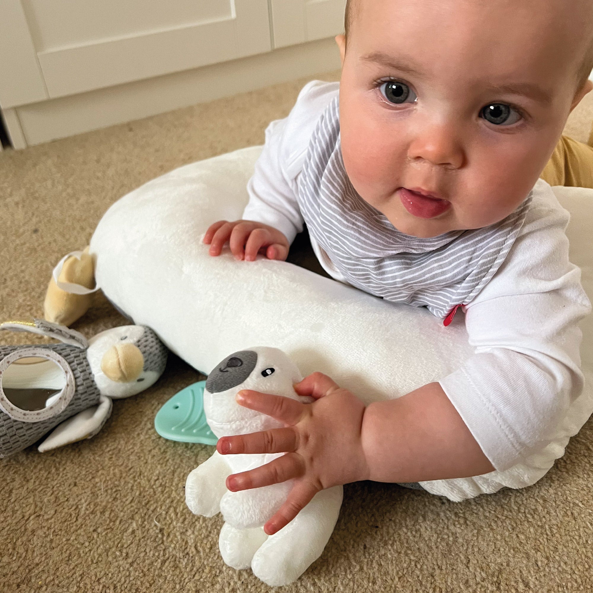 Vicloon Jeu Sur Le Ventre Et Assis, Coussin D'u00e9veil Tummy Time Animaux Doux,Jouets Pour Le Temps Du Ventre De Bu00e9bu00e9, Oreiller Sur Le Ventre Bebe Pour 0-6 Months Aider Bu00e9bu00e9